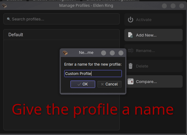 Name Profile